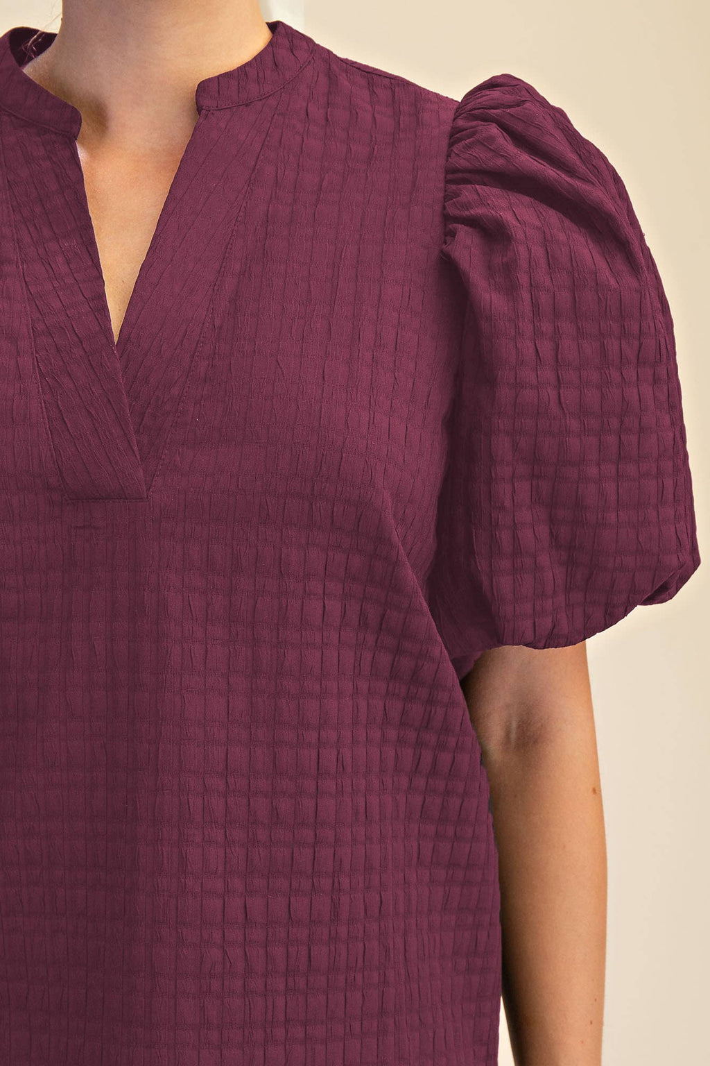 V-Neck Textured Puff Sleeve Top