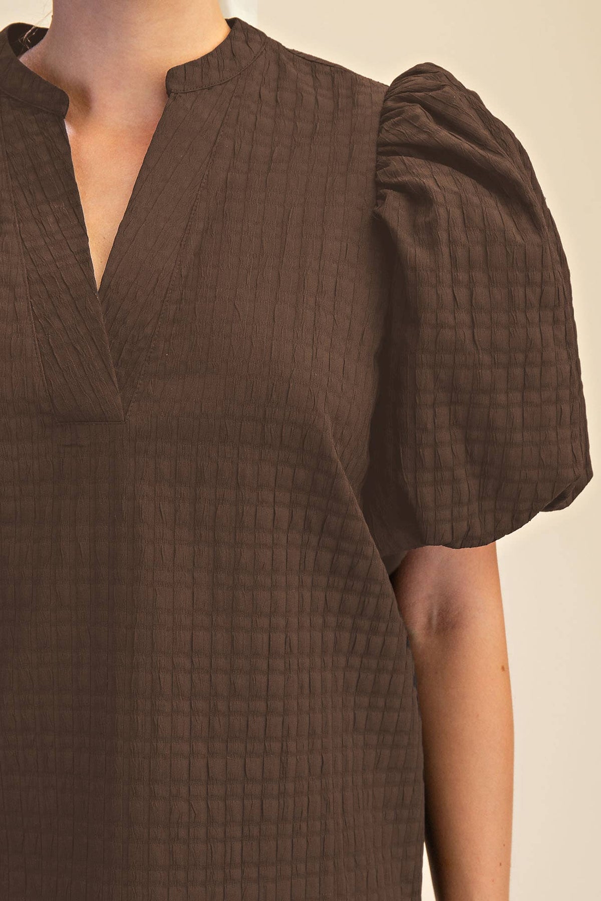 V-Neck Textured Puff Sleeve Top