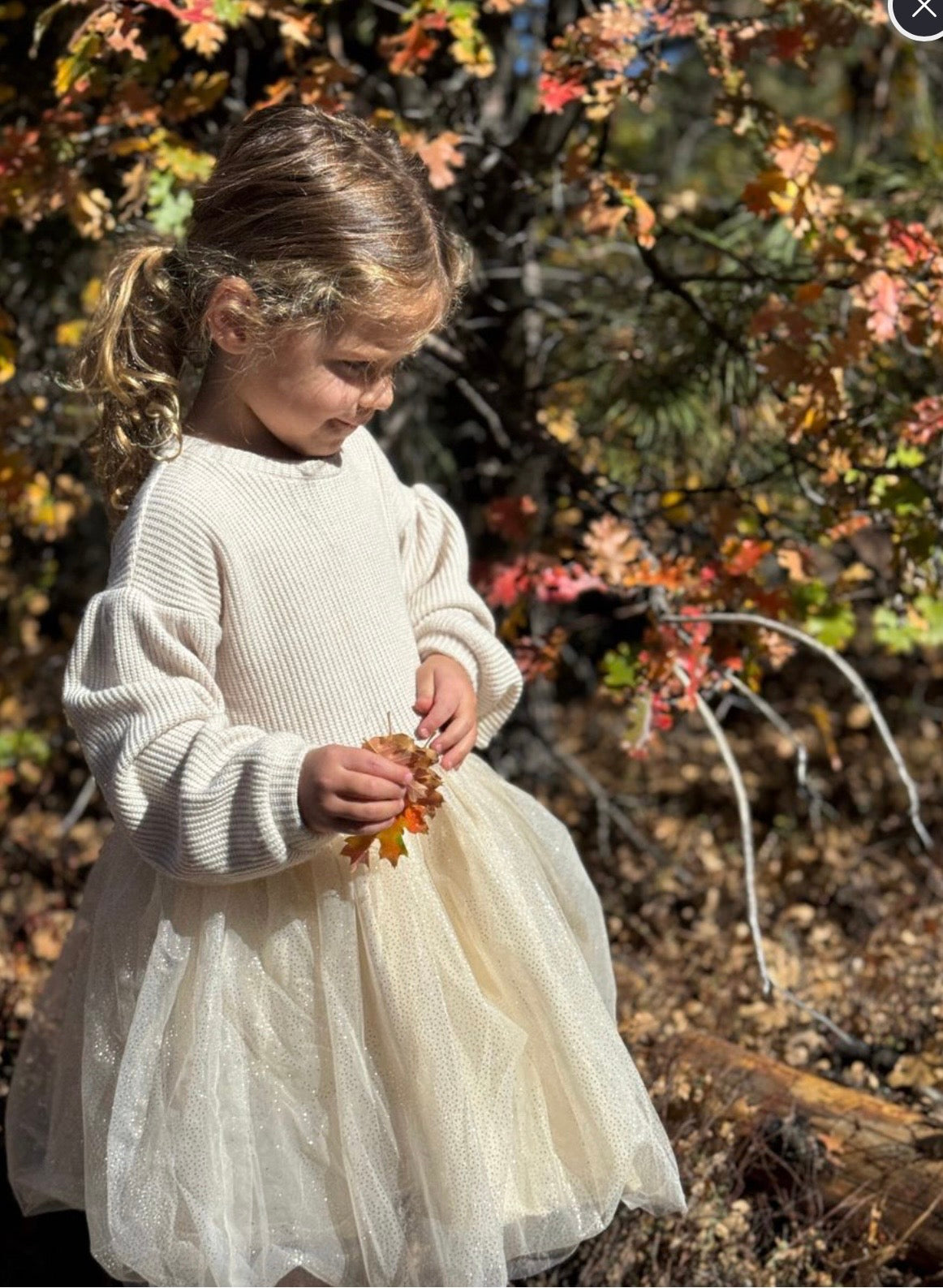 Birdie Knit and Tulle Sparkle Dress