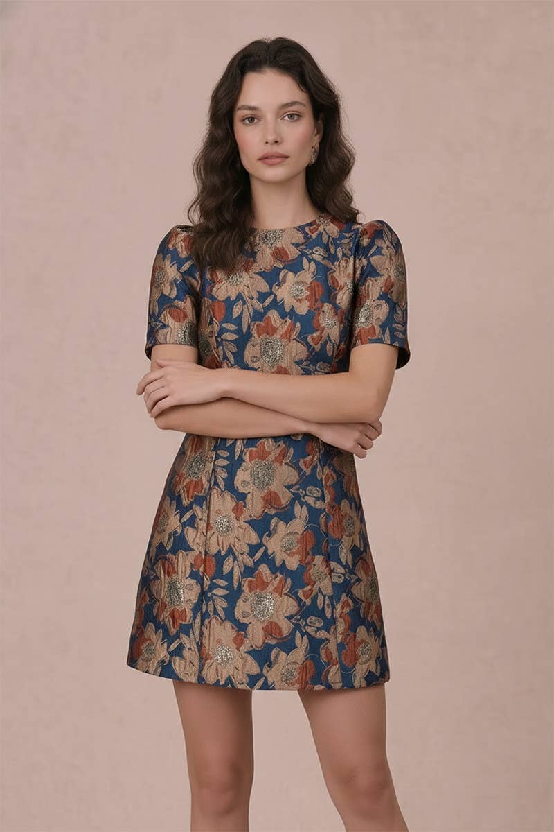 Short Puff Sleeve Jacquard Mini Dress