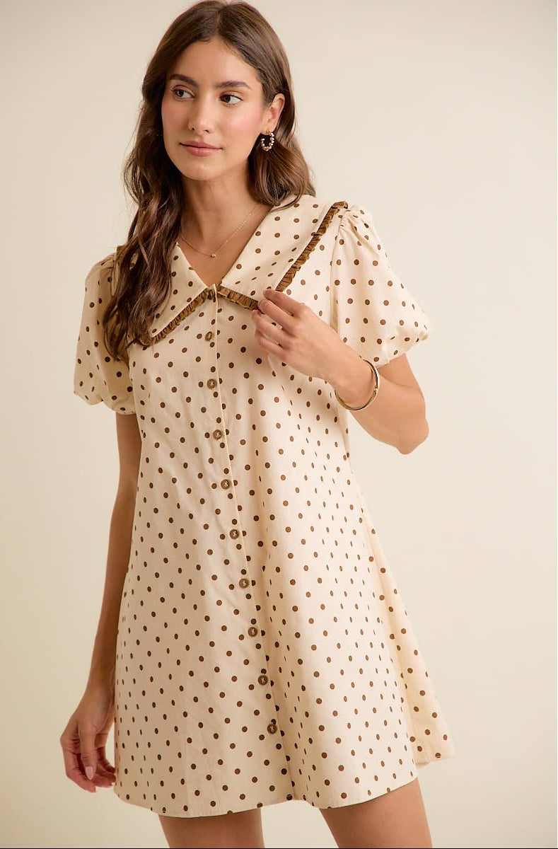 Polka Dot Peter Pan Collar Mini Dress