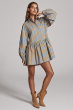 Hazel Fall Stripe Long Sleeve Mini Dress